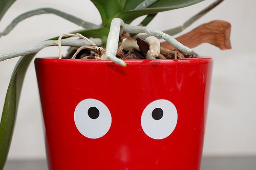 4156914437_62e5961282