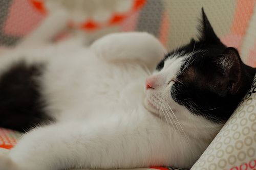 2716419283_6764807f74