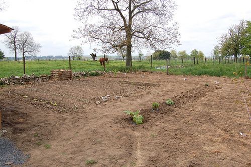 3476666640_106ef67ce9