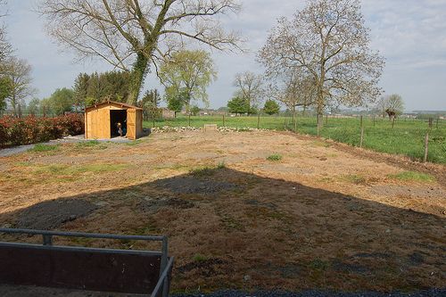 3474906803_5154c18679