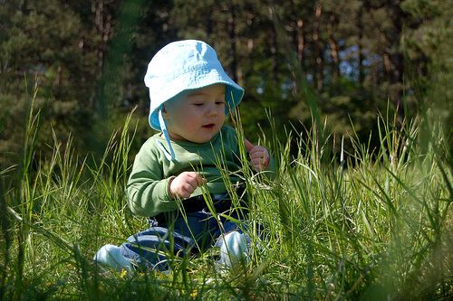 3497606766_c281c50e76