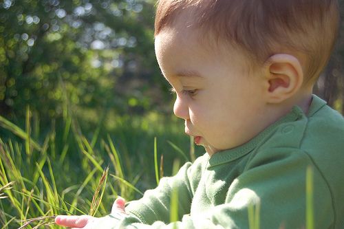 3496817305_4ed46ef6b5