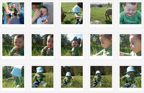 20090503-e8ds4ip5h1xj65t2hi2t89jji5