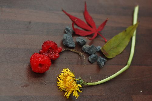 4049357751_7c111c13dc