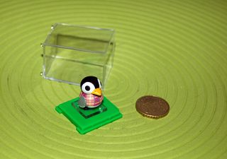 acwwperso.jpg