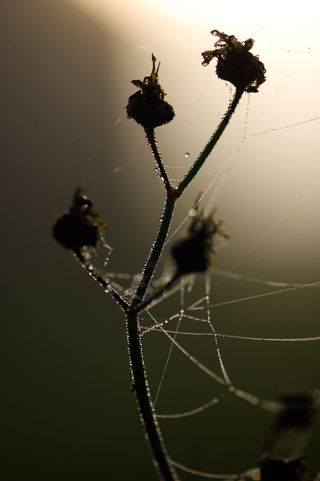 Il faisait frisquet ce matin, je trouve...